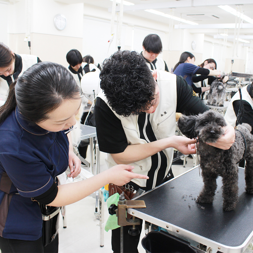 １年生の進級間近のトリミング！